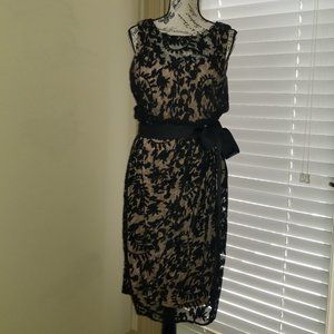 Adrianna Papell Gorgeous Lace Overlay LBD